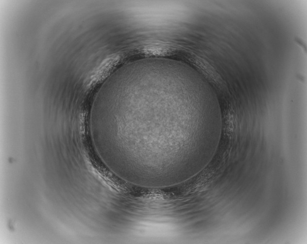 X0000100890738200807011156