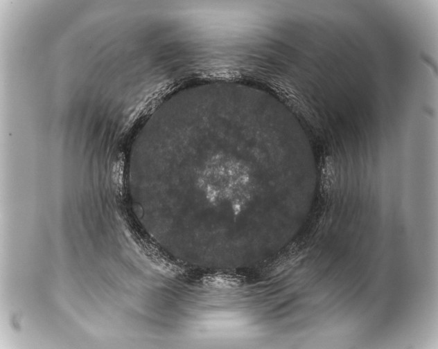 X0000100890739200807011156