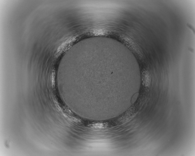 X0000100890740200807011156
