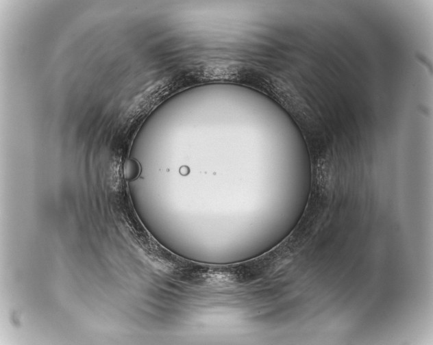 X0000100890741200807011156