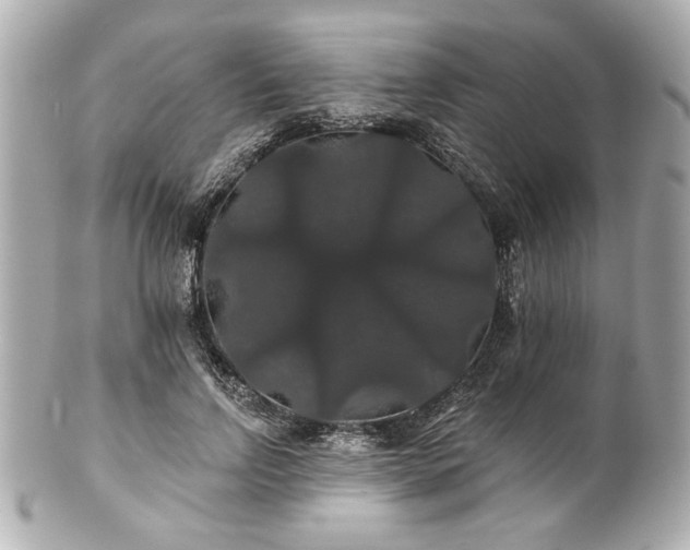 X0000100890742200807011156