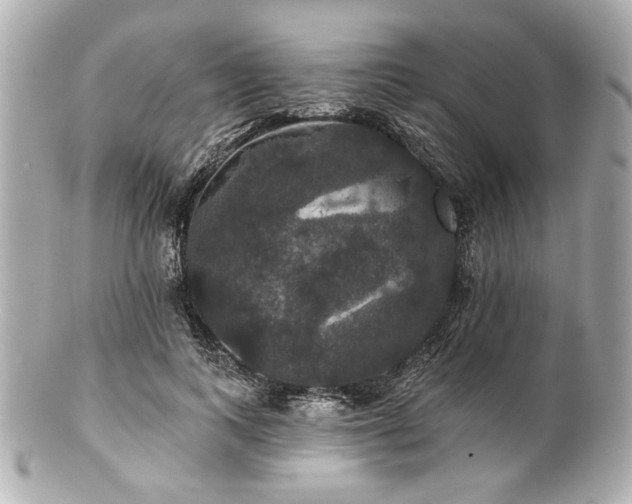 X0000100890743200807011156