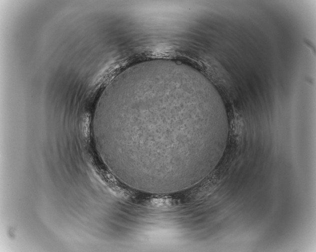 X0000100890744200807011156