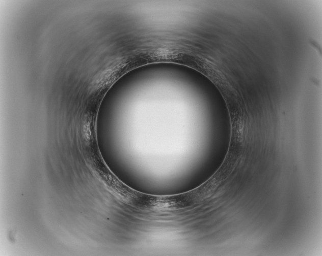 X0000100890746200807011156