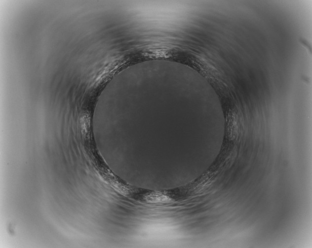 X0000100890747200807011156