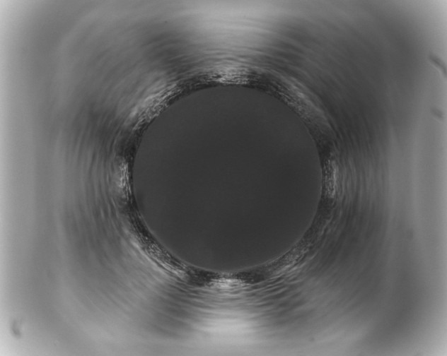 X0000100890748200807011156