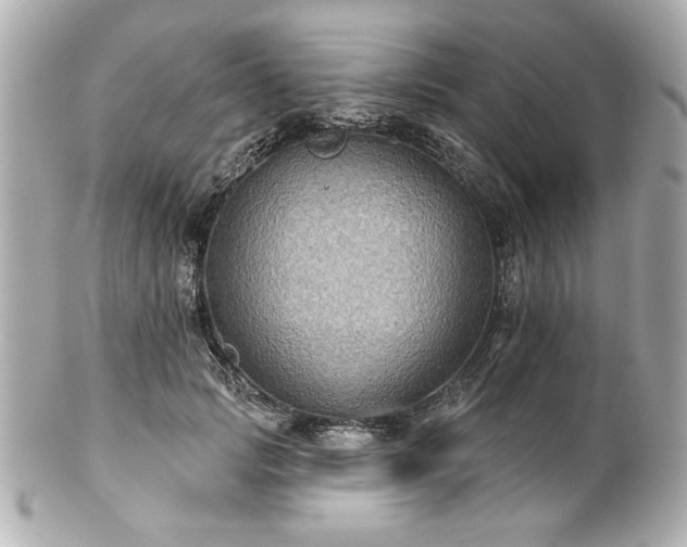 X0000100890749200807011156