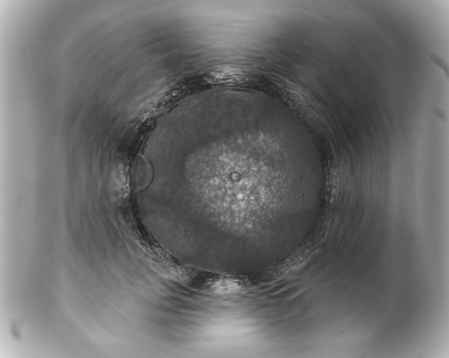 X0000100890751200807011156