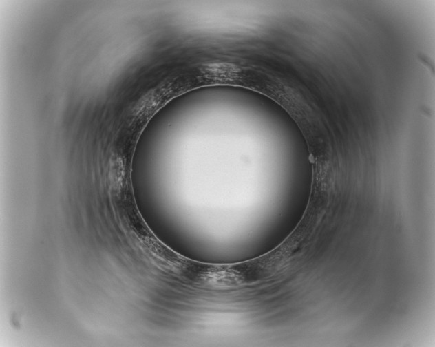X0000100890752200807011156