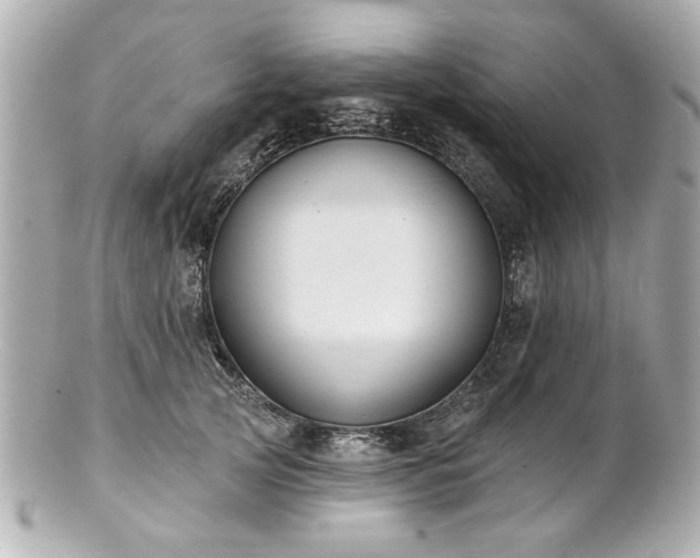 X0000100890753200807011156