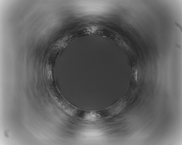 X0000100890754200807011156