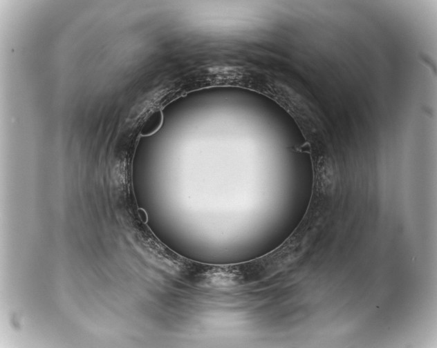 X0000100890756200807011157
