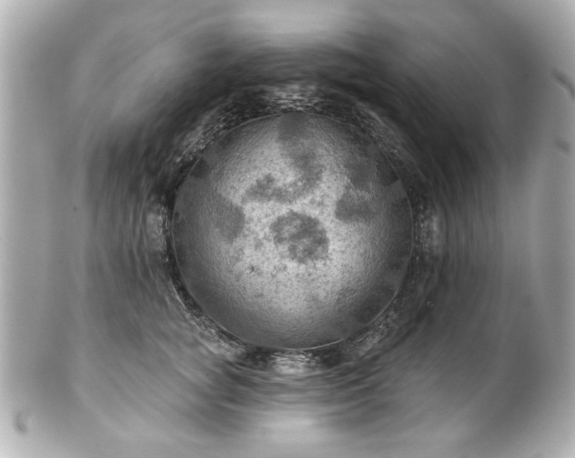X0000100890757200807011157
