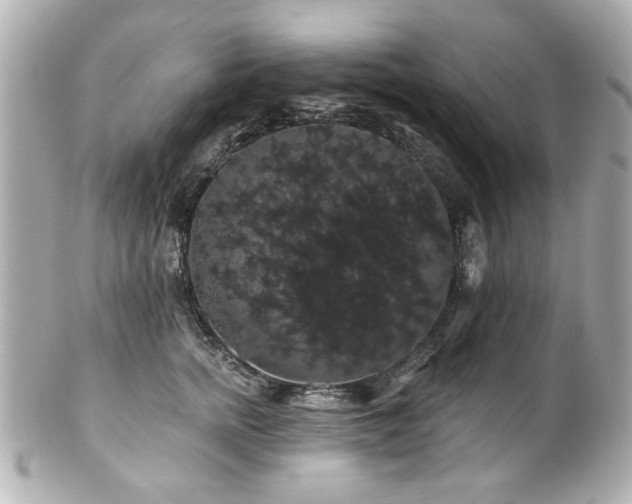 X0000100890758200807011157