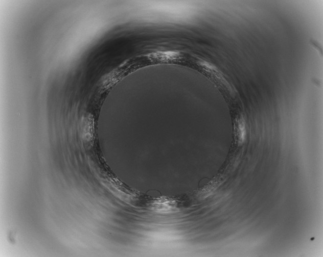 X0000100890760200807011157
