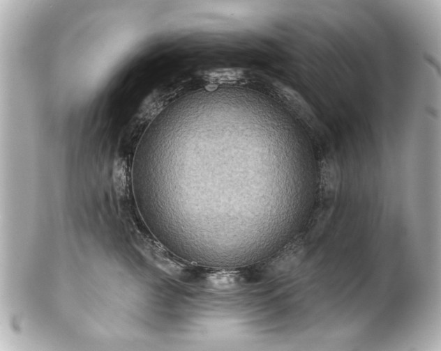 X0000100890761200807011157