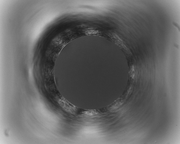 X0000100890763200807011157