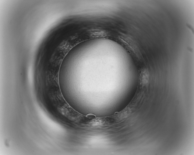 X0000100890764200807011157