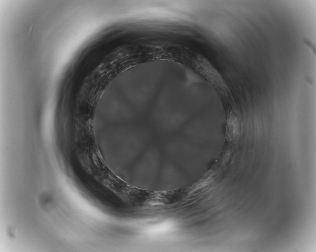 X0000100890765200807011157