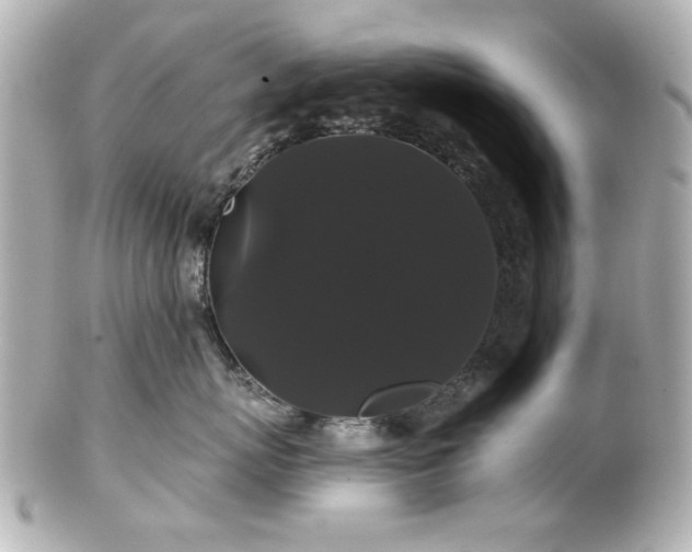 X0000100890767200807011157