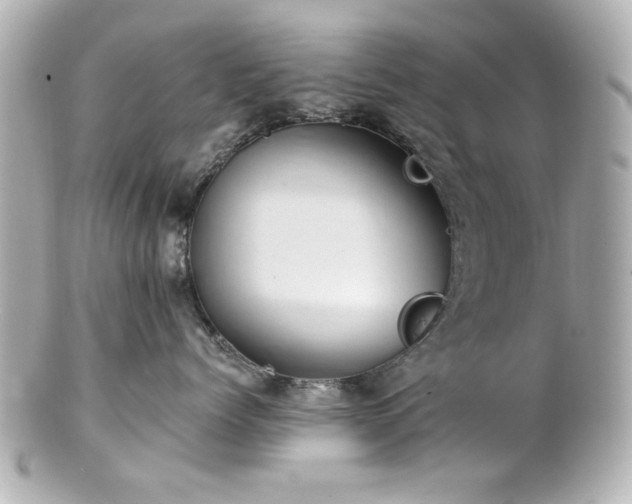X0000100890768200807011157