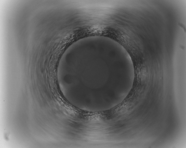 X0000100890769200807011156