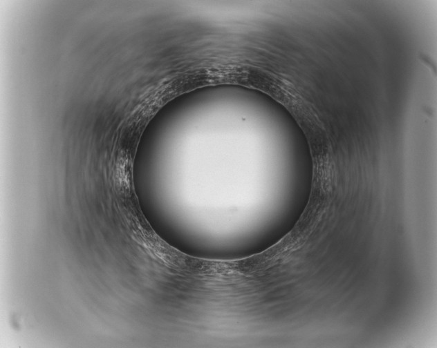 X0000100890770200807011156
