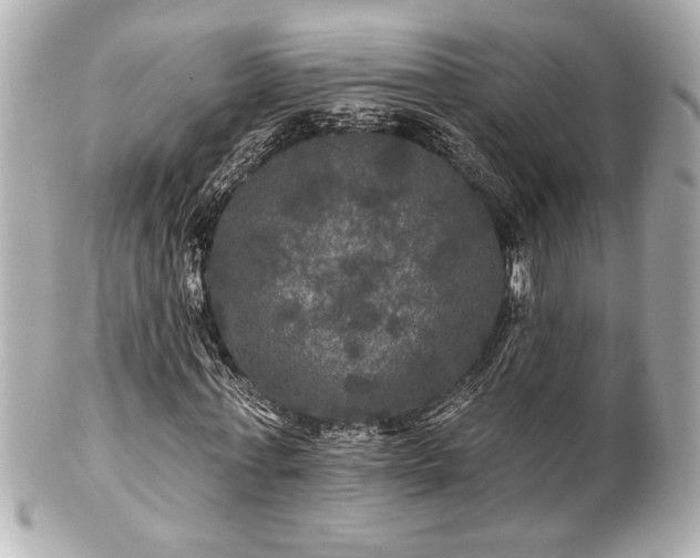 X0000100890771200807011156