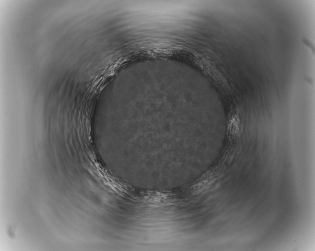 X0000100890772200807011156