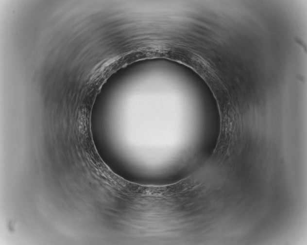 X0000100890773200807011156
