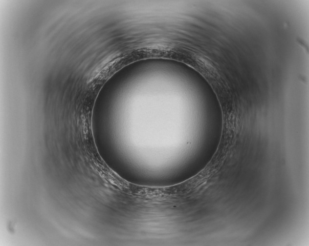 X0000100890774200807011156