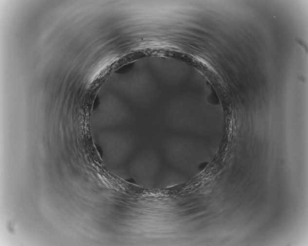 X0000100890775200807011156