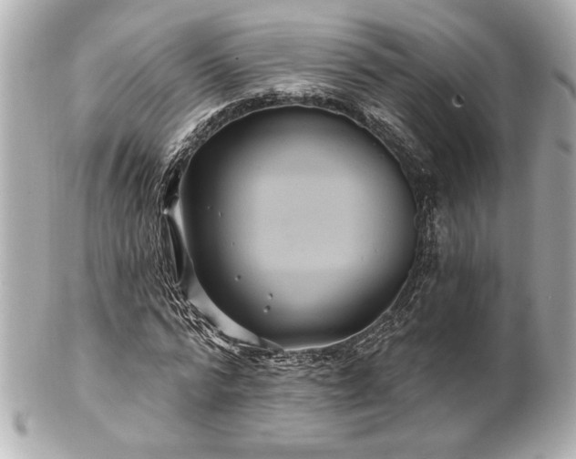 X0000100890776200807011156