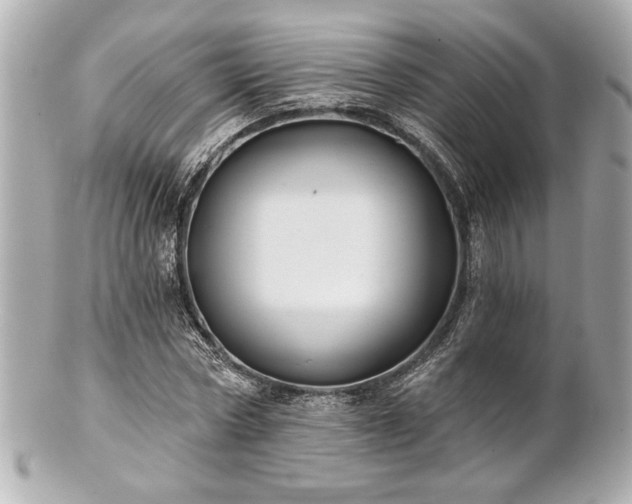 X0000100890778200807011156
