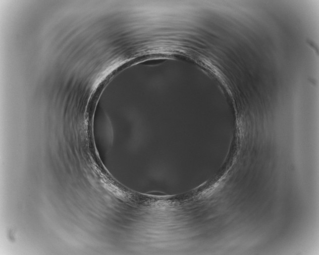 X0000100890779200807011156