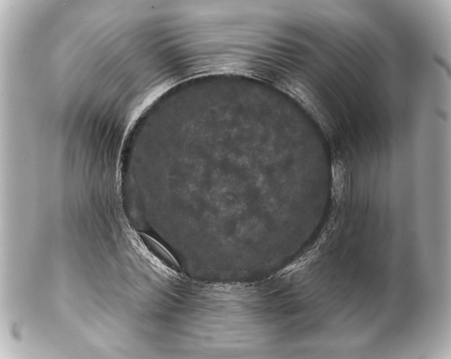 X0000100890780200807011156