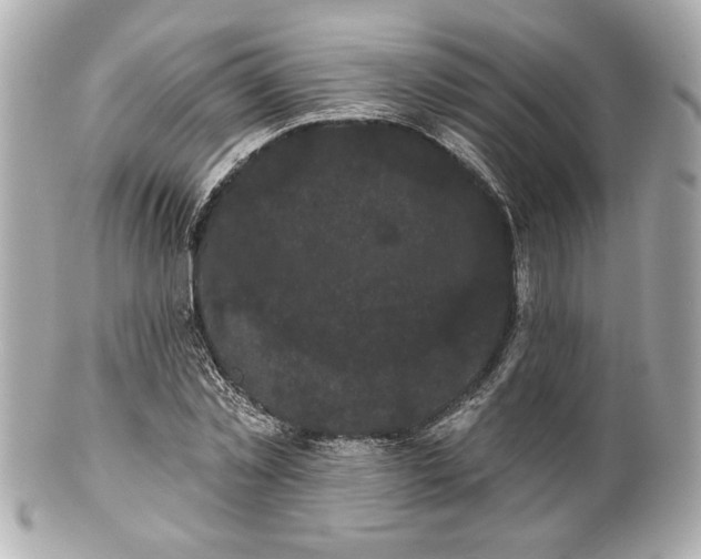 X0000100890781200807011156