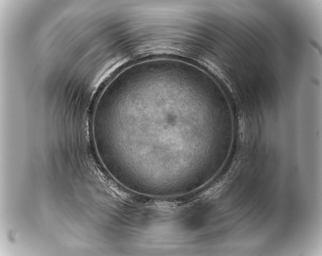 X0000100890782200807011156