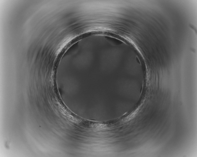 X0000100890783200807011156