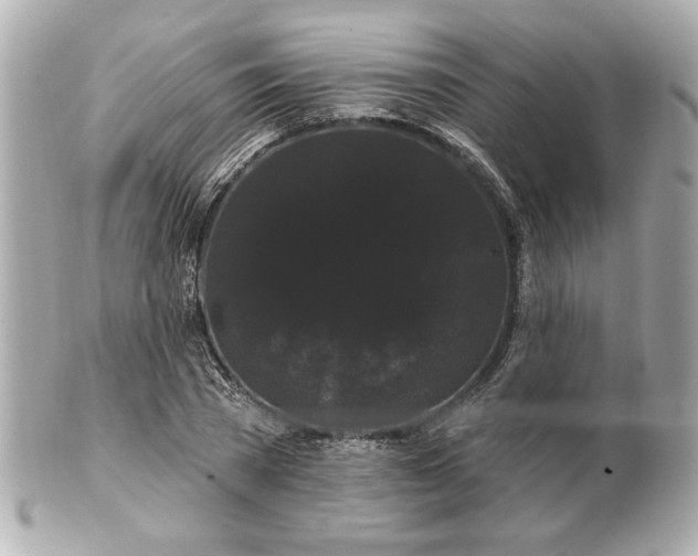 X0000100890785200807011156