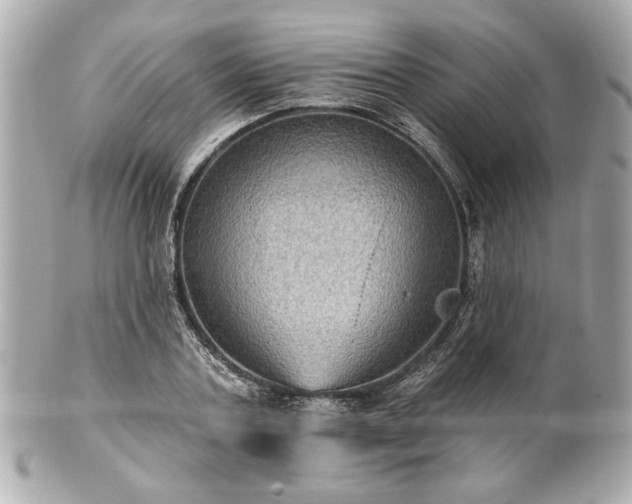 X0000100890787200807011156
