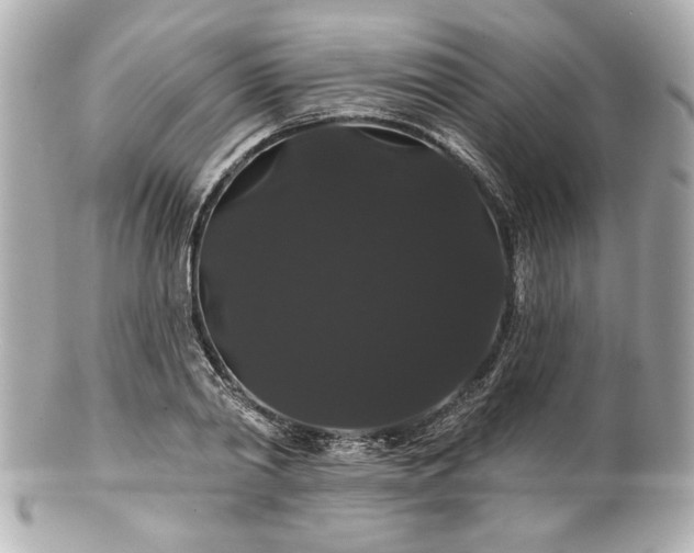 X0000100890790200807011156