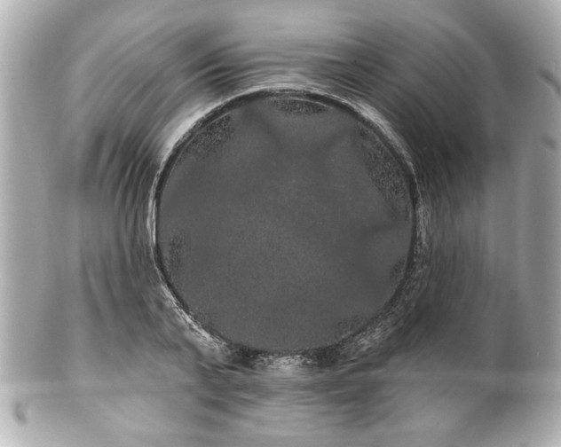 X0000100890791200807011156