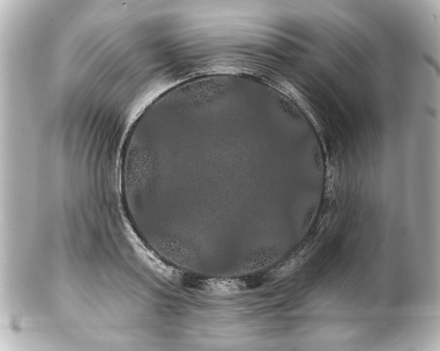 X0000100890795200807011156
