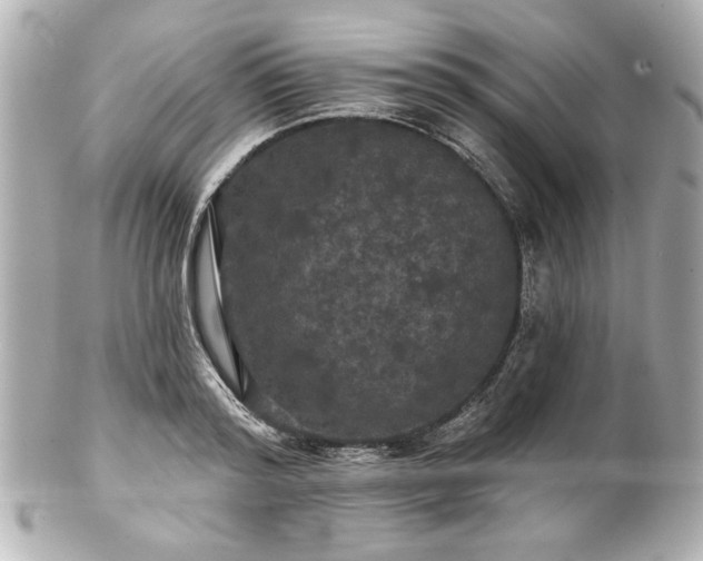 X0000100890796200807011156