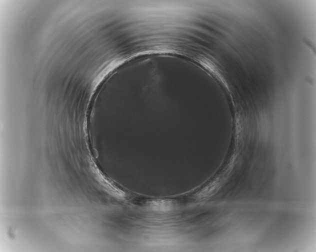 X0000100890797200807011156