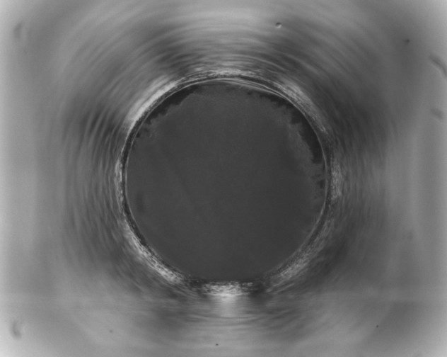 X0000100890798200807011156