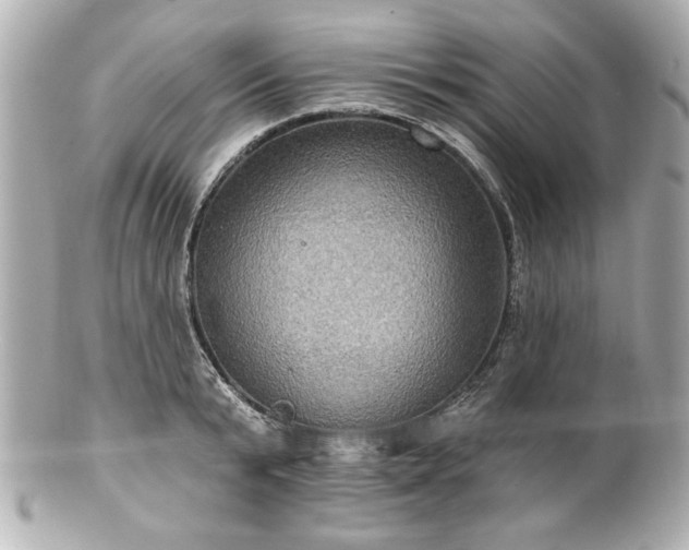 X0000100890799200807011156