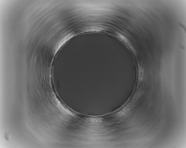 X0000100890802200807011156