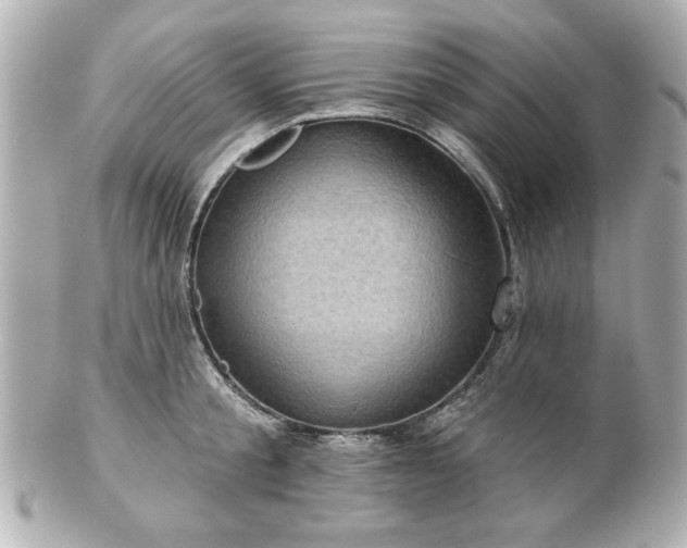 X0000100890805200807011156